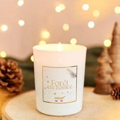 Discount Foret Enchantee Scented Candle