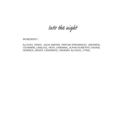 Into The Night Eau De Parfum