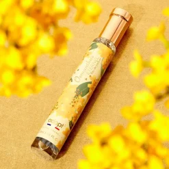 Discount Osmanthus Eternel Floral