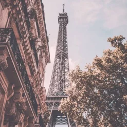 Sale Paris Reverie Floral