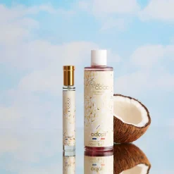 Discount Reve De Coco Perfume Set
